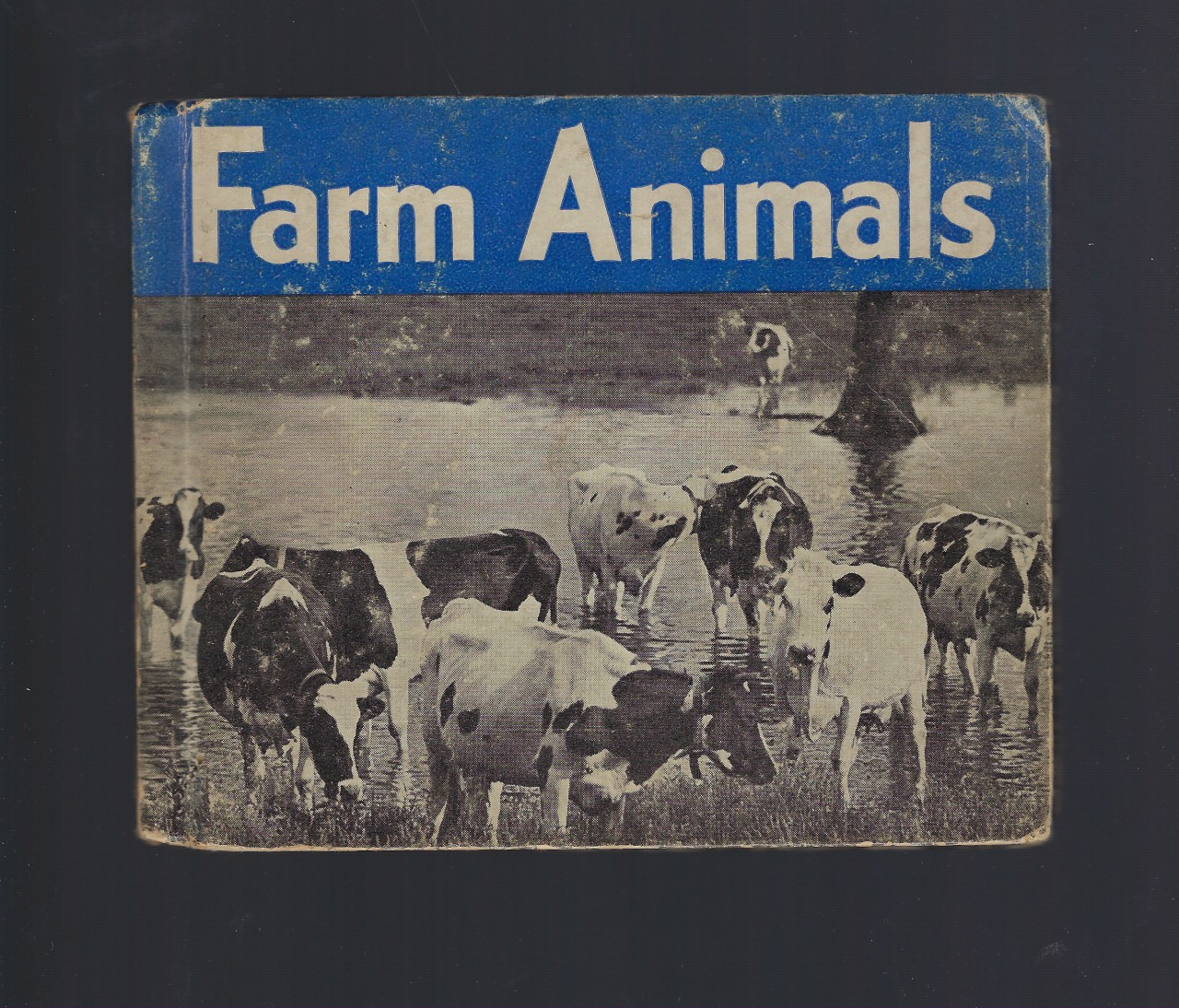 Image for Farm Animals-Photographs and Descriptions of 100 Most Important Farm Animals